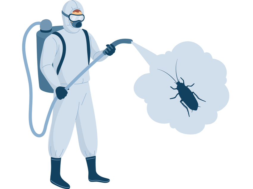 Best Treatment Options for Keeping Pests Out of Your Home All Year Long | San Joaquin Pest Control