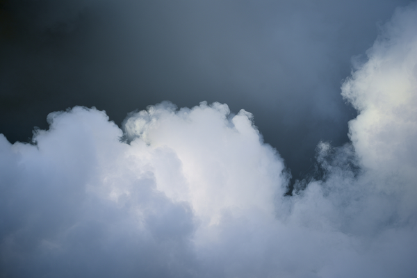 CHOOSING A FUMIGATION SERVICE IN VISALIA, CA | San Joaquin Pest Control
