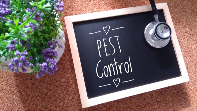 FIND THE PEST CONTROL PLAN THAT IS RIGHT FOR YOUR HOME OR BUSINESS | San Joaquin Pest Control