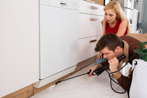 Get Help Figuring Out What Type of Pest Control Services Your Home Needs | San Joaquin Pest Control