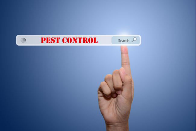 How Often Should I Get Pest Control Services for My Business in Visalia, CA | San Joaquin Pest Control