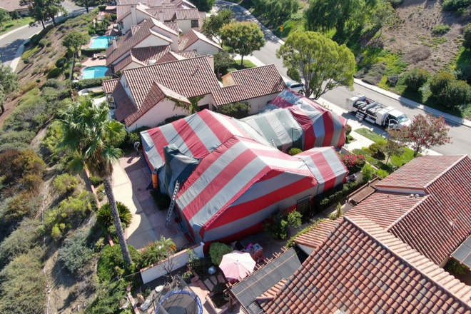 How to Determine if Your Home Needs Structural Fumigation for Termites | San Joaquin Pest Control