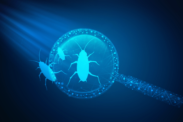 How to Find a Pest Control Professional in Visalia, CA | San Joaquin Pest Control