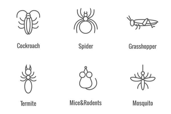 Pests That Commonly Cause Problems for Homeowners in Visalia, CA | San Joaquin Pest Control