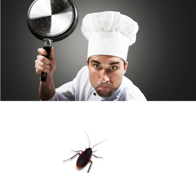 STEPS RESTAURANT OWNERS CAN TAKE TO PROTECT AGAINST PESTS | San Joaquin Pest Control