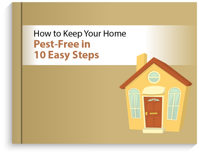 How-to-Keep-Your-Home