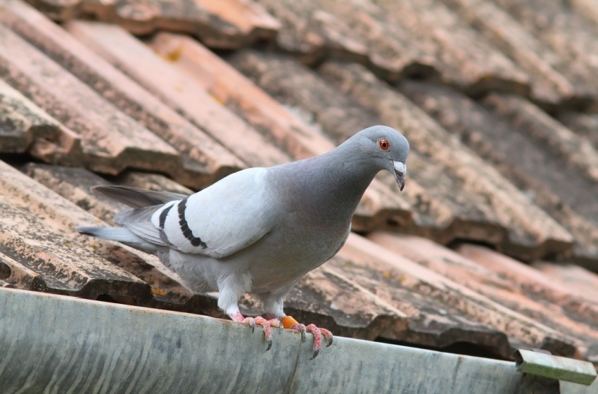 Shutterstock_200521376
