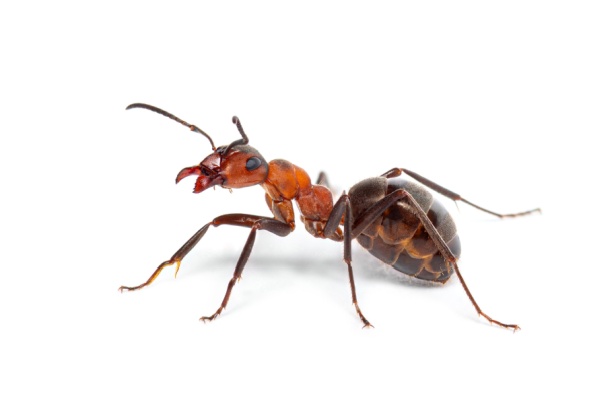 Shutterstock_2144880439