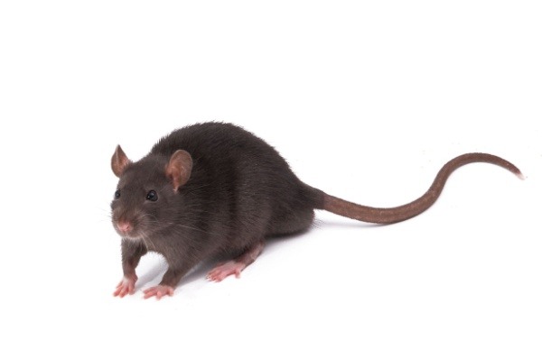 Shutterstock_2345861835