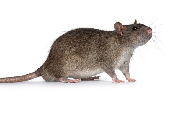 Shutterstock_2420843059