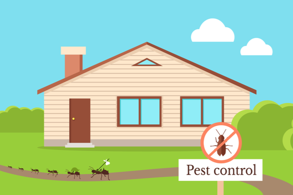 THE BEST PEST CONTROL COMPANY IN VISALIA, CA | San Joaquin Pest Control