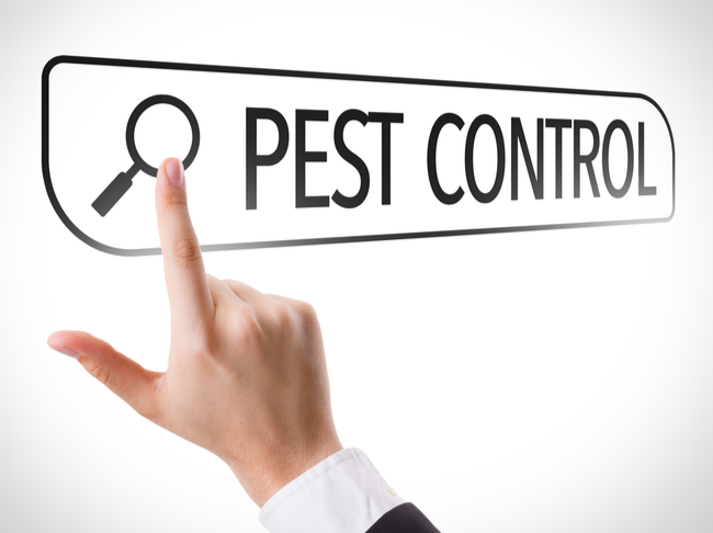 TIPS ON FINDING A TOP-NOTCH PEST CONTROL PROVIDER IN YOUR AREA | San Joaquin Pest Control