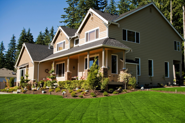 The Best Property Management Pest Control in Visalia | San Joaquin Pest Control
