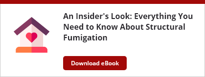fumigation