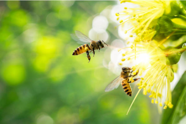 can-i-pest-proof-my-home-to-prevent-summertime-bugs