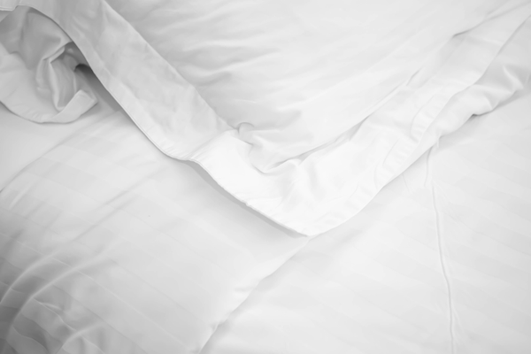 What Bugs Should I Worry About in Bakersfield As The Weather Heats Up