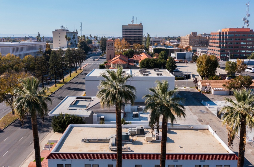 Why Pest Problems Are Different in Bakersfield Than Other Parts of California