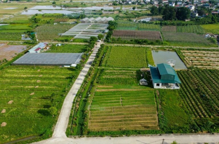 How Irrigation and Landscaping Affect Pest Activity in Hanford
